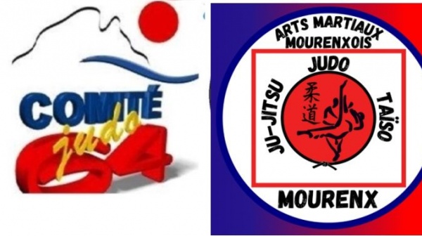 Le dimanche 18 mai 2025 aux arts martiaux Mourenxois judo auront lieu l'animation départementale mini poussins et poussins